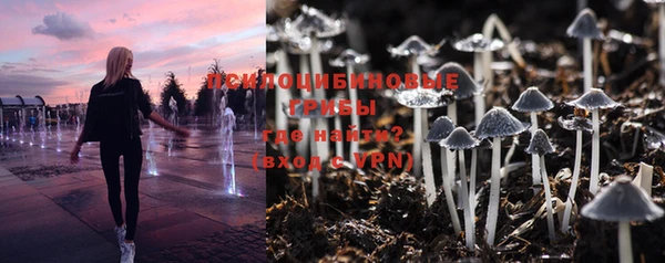 дмт Михайлов