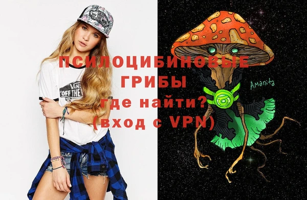 дмт Михайлов