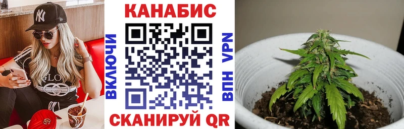 Купить где  Ясный  Канабис White Widow 